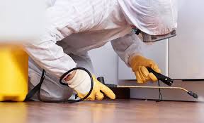 Best Termite Inspection and Treatment  in Sunset Hills, MO